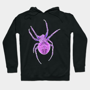 Purple Spider Orb-Weaver Watercolor Style Hoodie